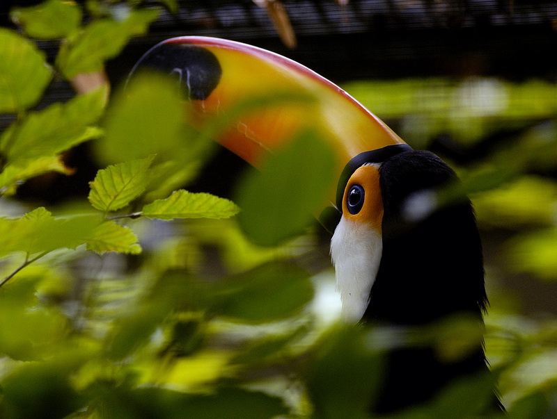 Zoo Wuppertal Tiere_DDB3772.jpg - Zoo Wuppertal